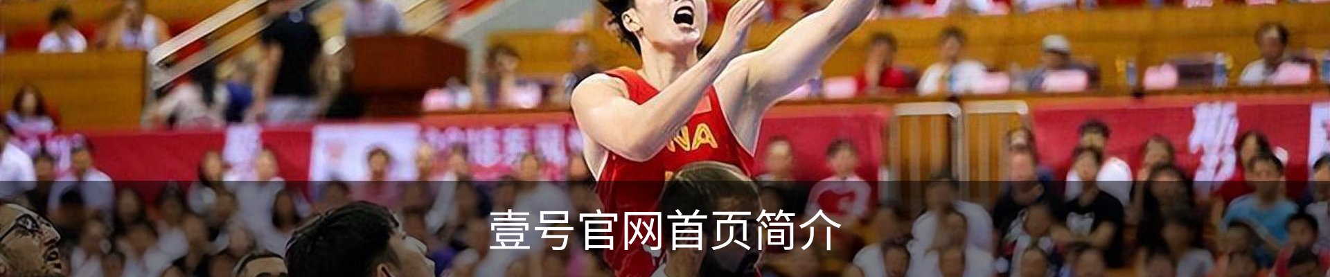 壹号官网首页简介